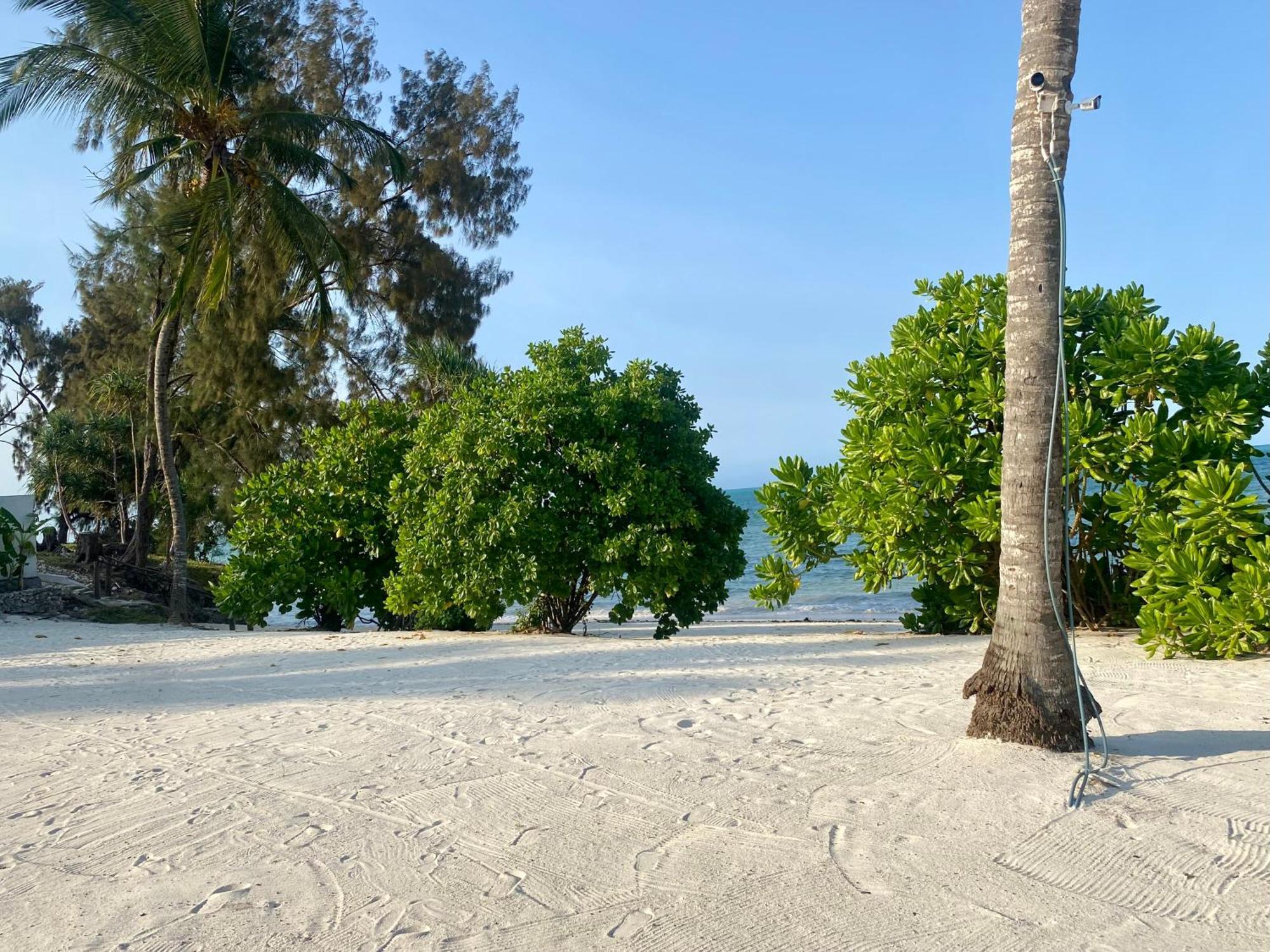 Villa Lions Luxury Zanzibar - Private Cook&pool - Front