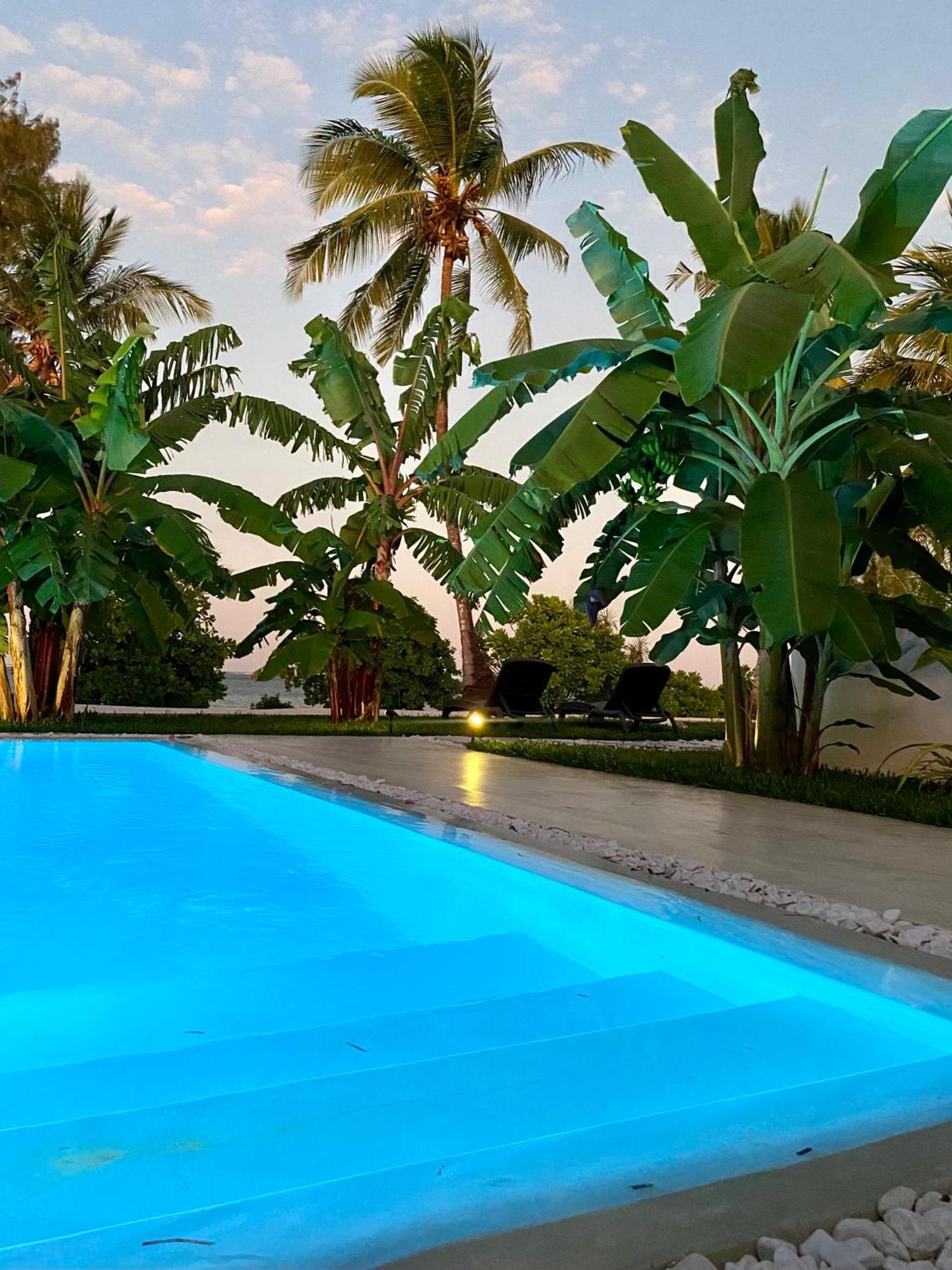 Lions Luxury Zanzibar - Private Cook&pool - Front *
