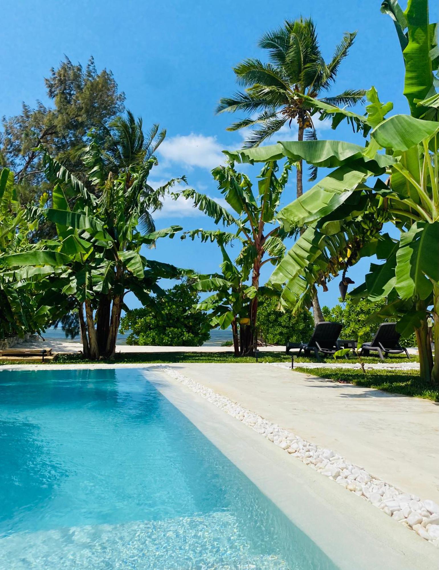 Lions Luxury Zanzibar - Private Cook&pool - Front Villa