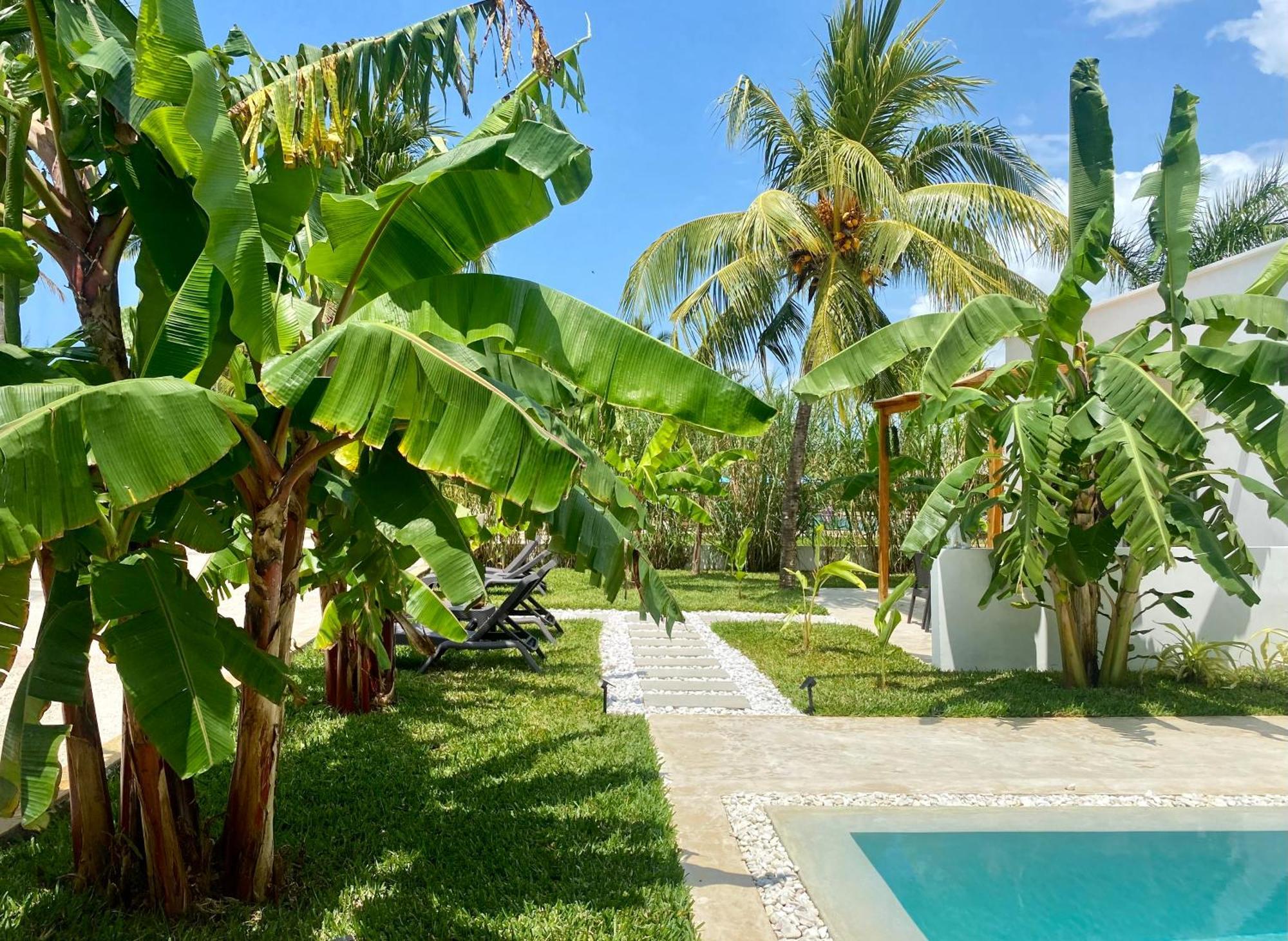 Villa Lions Luxury Zanzibar - Private Cook&pool - Front Kiwengwa (Zanzibar)