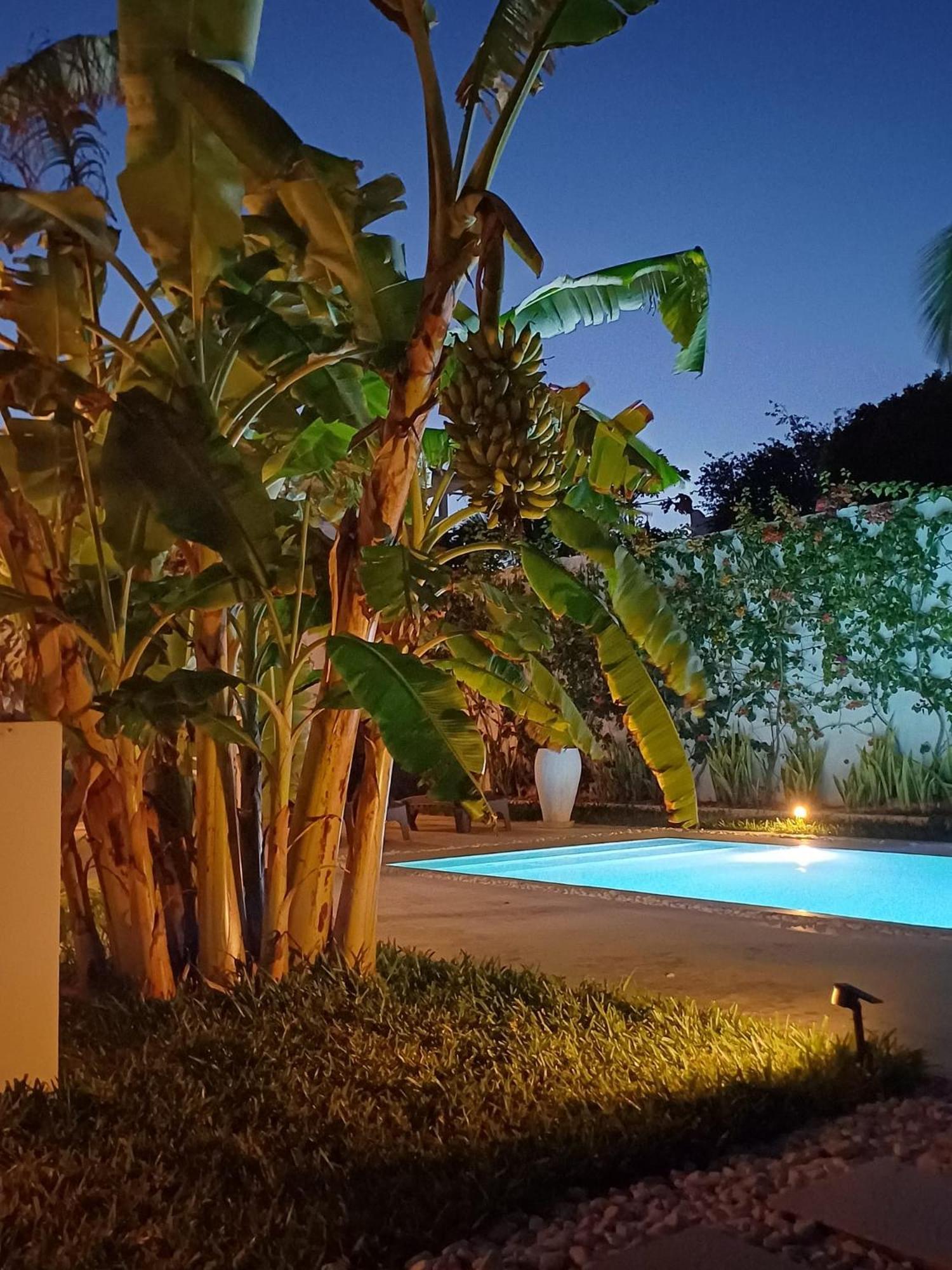 Lions Luxury Zanzibar - Private Cook&pool - Front