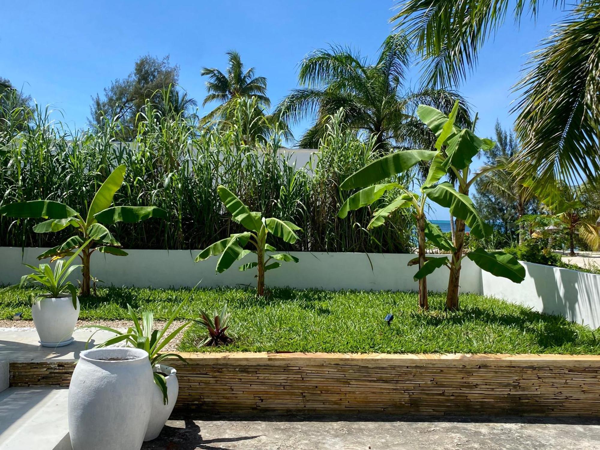 Villa Luxury Lions Zanzibar - With Private Cook&infinity Pools *