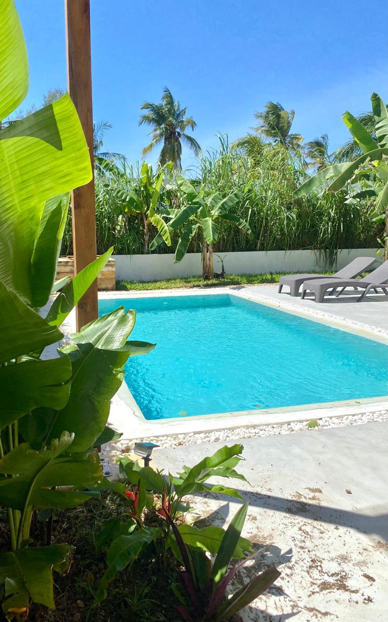 Luxury Lions Zanzibar - With Private Cook&infinity Pools Villa Kiwengwa (Zanzibar)